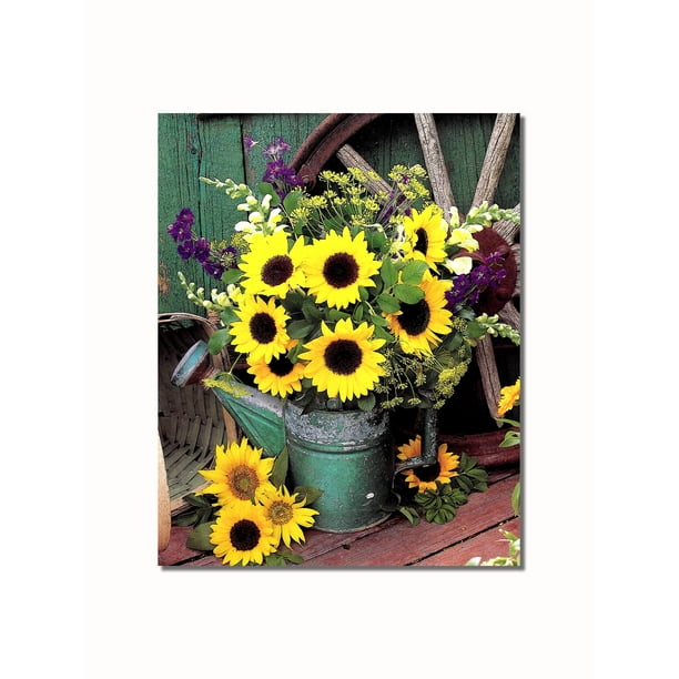 Sunflowers in Watering Can #1 Lace Flower Garden Wall Picture 8x10 Art Print Sunflowers in Watering Can #1 Lace Flower Garden Wall Picture 8x10 Art Print